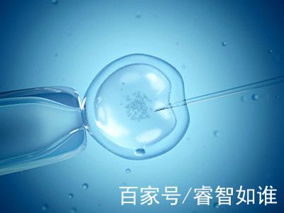 生殖中心环境